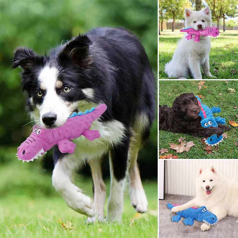 Jouets pour crocodiles