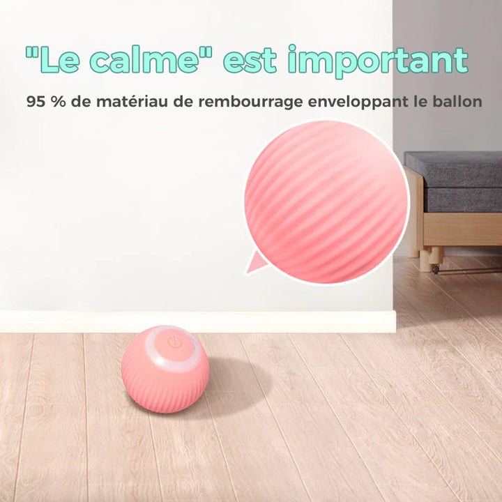 Jouets de balle interactifs Smart Cat