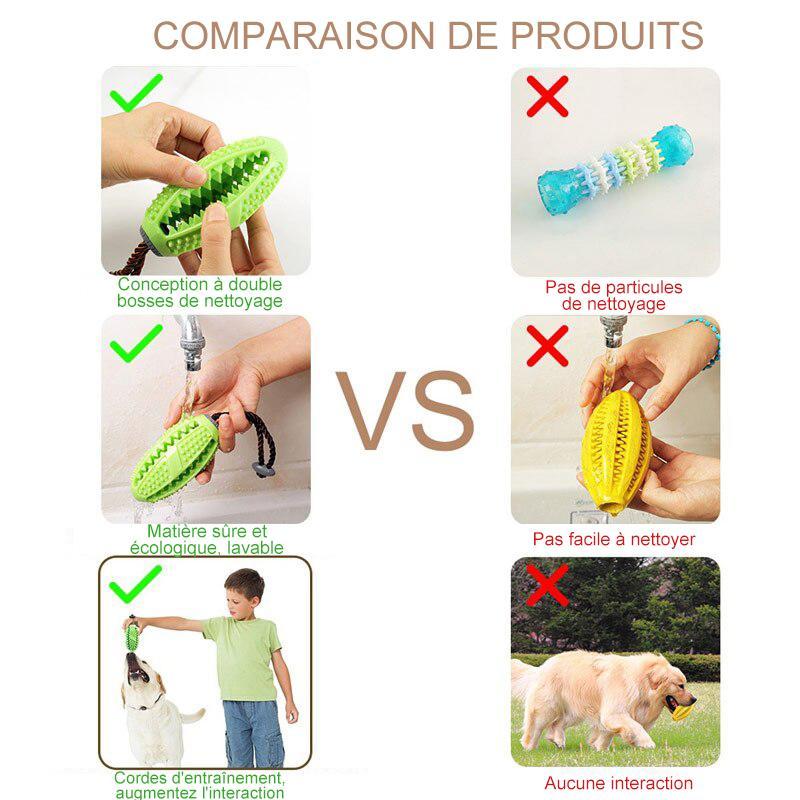 Pré-vente >> Jouet de Brosse à Dents pour Chien