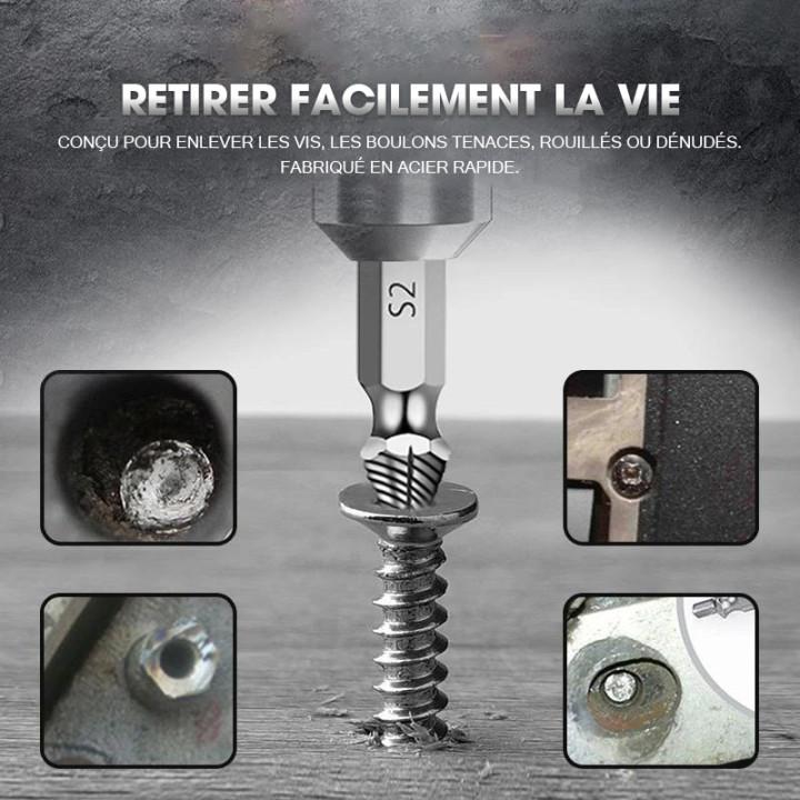 Extracteur de vis (4 Pcs/5pcs/6pcs)