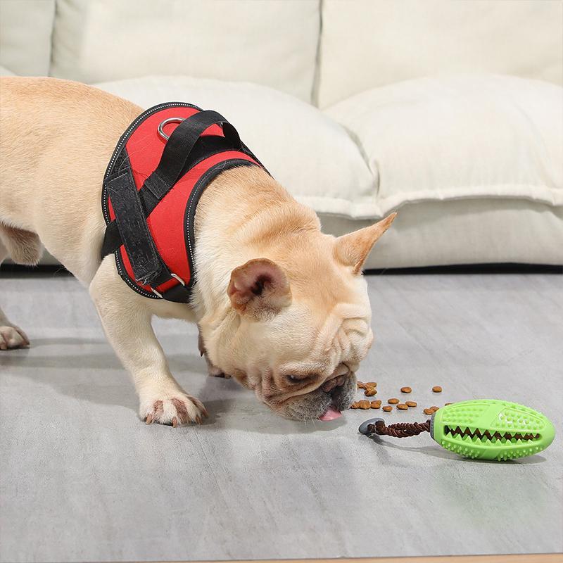 Pré-vente >> Jouet de Brosse à Dents pour Chien