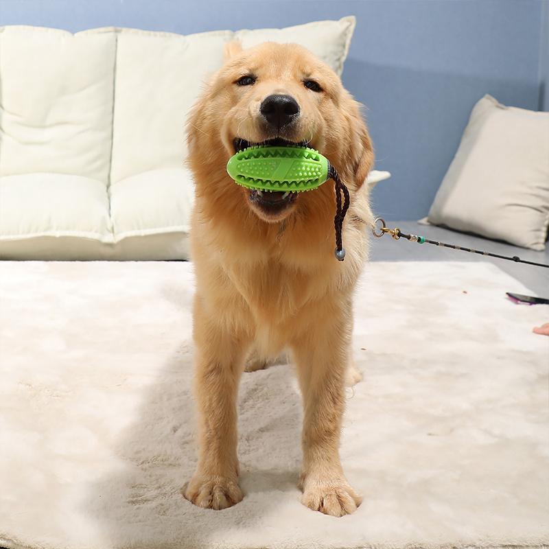 Pré-vente >> Jouet de Brosse à Dents pour Chien