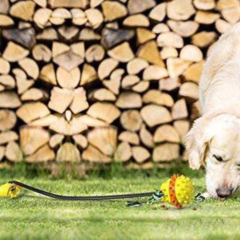 Boule en Corde pour Animaux d'Extérieur