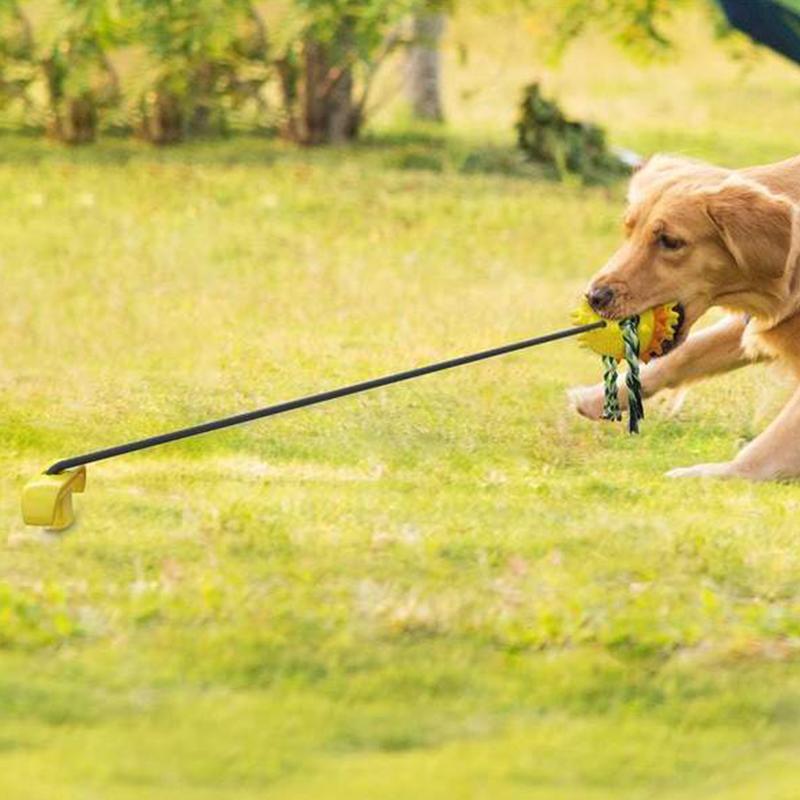 Boule en Corde pour Animaux d'Extérieur