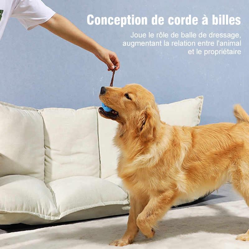 Pré-vente >> Jouet de Brosse à Dents pour Chien